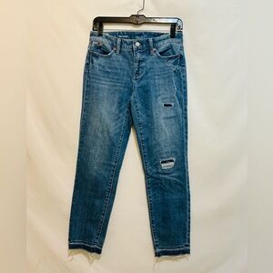 Talbots Flawless Slim Ankle Women’s Denim Jeans Size 2